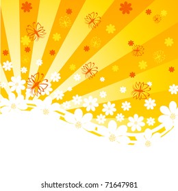 vector illustration of an orange background with daisies and butterflies on sunny background