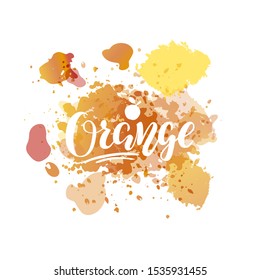 Vector illustration of orange brush lettering for banner, flyer, poster, clothes, restaurant, bistro, café, package, advertisement design. Handwritten text for logo, signage, billboard, print 