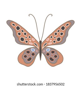 Vector illustration of an orange butterfly with thin wings and small black spots. Graceful butterfly for make-up studio logo, beauty brand decoration, Beautiful and cute butterfly isolated on white.