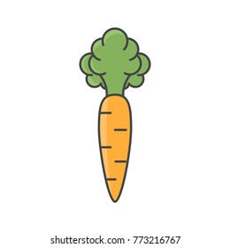Vector illustration of orange carrot. Flat, color. Vivid picture of a vegetable. Fresh food