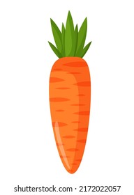 Vector illustration of an orange carrot. Vegetables and raw food.