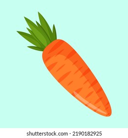 Vector illustration of an orange carrot. Vegetables and raw food.