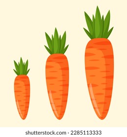 Vector illustration of an orange carrot. Vegetables and raw food.