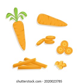 Vector illustration of orange carrots on the white background. Sliced round carrot and chopped carrot. Cut carrot for cook preparation.