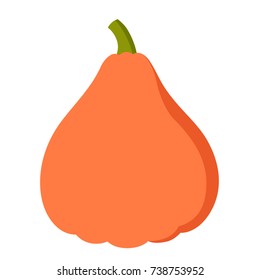 Vector illustration: orange cartoon flat pumpkin icon side view isolated on white background