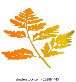Vector Illustration of an orange carved fall leaf isolated on a white background