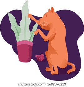 vector illustration orange cat with a dark background
