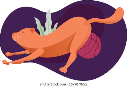 vector illustration orange cat with a dark background
