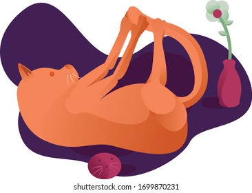 vector illustration orange cat with a dark background
