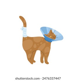 Vector illustration of an orange cat with a protective veterinary cone collar, on its neck after operation or injury. Health treatment procedure for injured pets. 