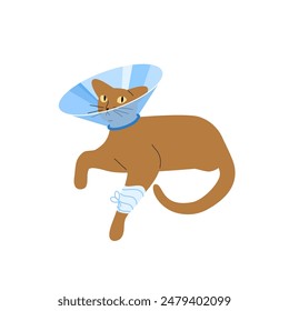 Vector illustration of an orange cat with a protective veterinary cone collar, on its neck after operation or injury. Health treatment procedure for injured pets. 