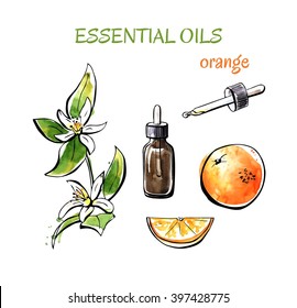 Vector Illustration Of Orange Essential Oils. Branch With Flowers, Fruits, Flasks And Bottles. Set Of Hand Drawn Watercolor Objects Isolated On White Background.