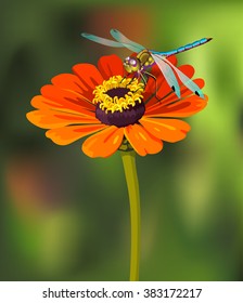 Vector illustration with an orange flower and a dragonfly on a blur green background