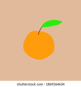 vector illustration of an orange fruit