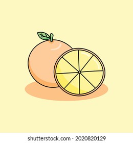 vector illustration of orange fruit