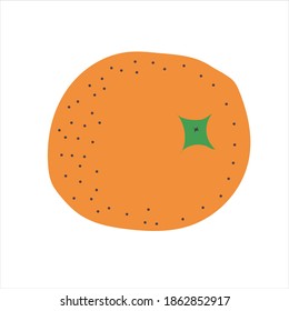 Vector illustration. orange fruit color illustration on a white background.