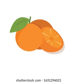 
Vector illustration of orange fruit - Vector isolated icons illustration