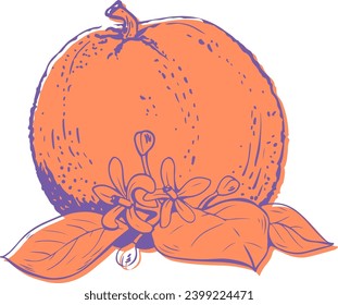 Ilustración vectorial de la fruta naranja con efecto de impresión de las hojas aislado en fondo blanco