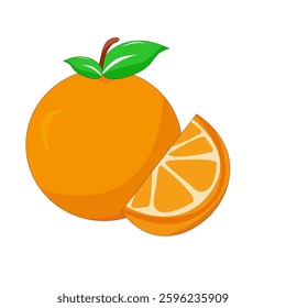 vector illustration of orange fruit , orange slices ,white background