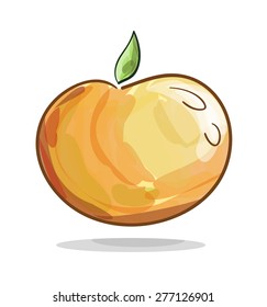 Vector illustration of an orange fruit with water color effect