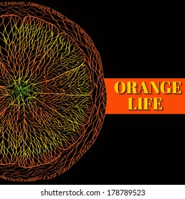 Vector Illustration of Orange Fruits.