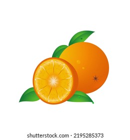 Vector Illustration Orange Fruits Form Orange Stock Vector (Royalty ...