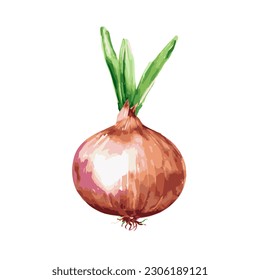 Ilustración vectorial de una cebolla naranja y verde aislada sobre un fondo blanco