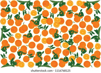 vector illustration of orange and leaf design background black and fruit EPS10