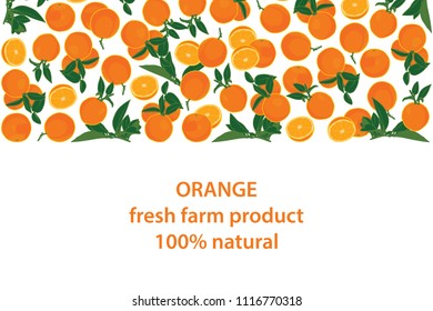 vector illustration of orange and leaf design background white and fruit and text fresh farm product 100% natural EPS10