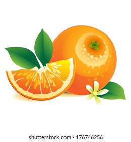 Vector Illustration of  Orange with leaves and flowers