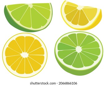 Vector illustration of orange lemon citrus fruit collection