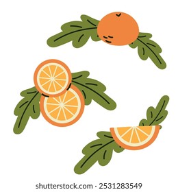 Vector illustration of orange and lemons with leaves on white background. Xmas