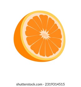 vector illustration of a orange. Lines art tropical fruit