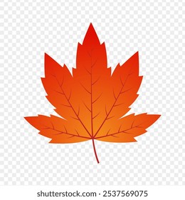 Vector illustration of orange maple leaf on transparent background