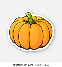 Vector illustration. Orange pumpkin with green stem. Healthy vegetarian soup. Ingredient for salad. Decoration for signboards, menus. Sticker with contour. Isolated on white background