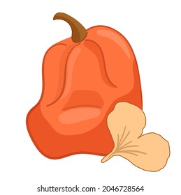 Vector illustration orange pumpkin and leaves. Autumn vegetables.