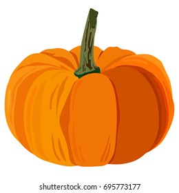 Vector illustration of orange pumpkin on white background. Element for design.