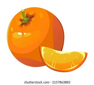 Vektorgrafik einer Orange. Eine Scheibe Orange. Zitrusfrüchte. Reife Früchte.