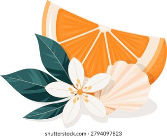 Vector illustration of an orange slice with citrus blossom, green leaves and seashell. Decorative botanical food element for summer, coastal and Mediterranean themed designs.