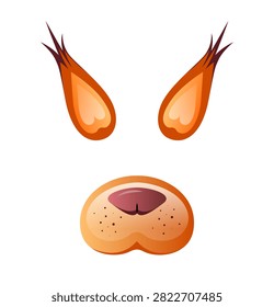 Vector illustration of orange squirrel animal mask elements with tufted ears and a cute nose. Photo booth props isolated on white background.