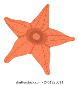 Ilustración vectorial de una estrella de mar naranja en un estilo de dibujos animados brillante. Una Imagen de una textura realista de estrella de mar, ideal para su uso en proyectos de temática náutica.