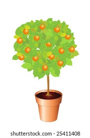 Vector illustration of an orange tree. Also available as jpg