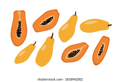 Vector illustration of orange and yellow papaya and half of the papaya isolated on a white background.  Hand-drawn vector papaya set. Trendy illustration for web and print design.