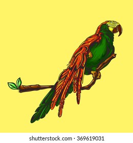 Vector illustration of orange-green parrot sitting on a tree branch.