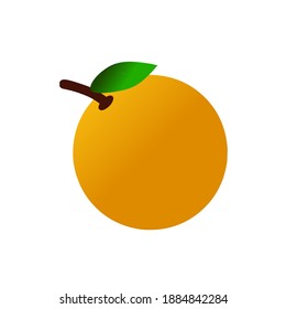 vector illustration of oranges and green leaves on stalk.
