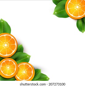 ilustración vectorial con naranjas en el fondo blanco