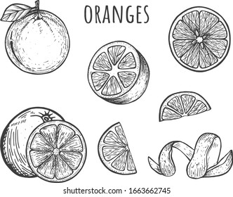 Vector illustration of oranges set. Fruit sliced, whole, half, skin spiral, segment. Vintage hand drawn style.