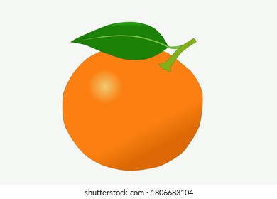 Vector illustration of oranges.Orange vector. Orange with leaves and Orange cut in half.