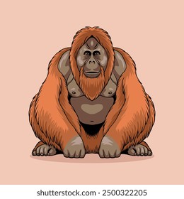 vector illustration of orangutan animal