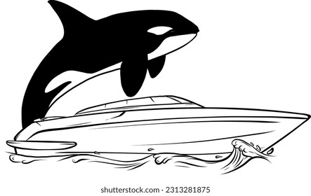 vector illustration of orca with boat on water